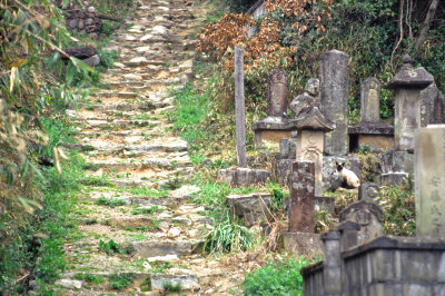 CAT GUARDING ANCIENT JAPANESE CEMETERY