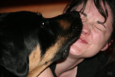 Kisses