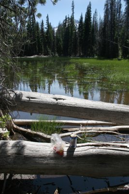 Memorable Mountain Snack