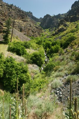 Waterfall Tributary