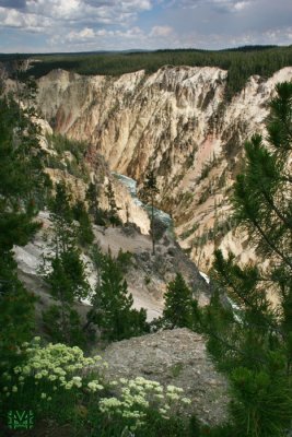 Yellowstone Canyon