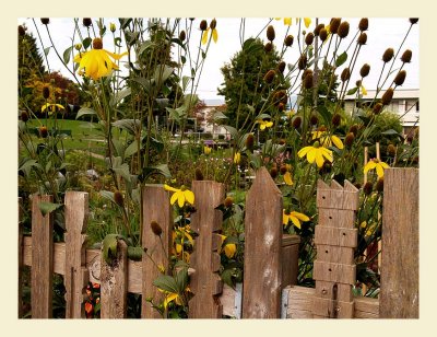 Fence7022.jpg