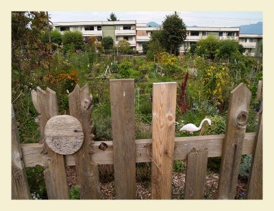 Fence7027.jpg