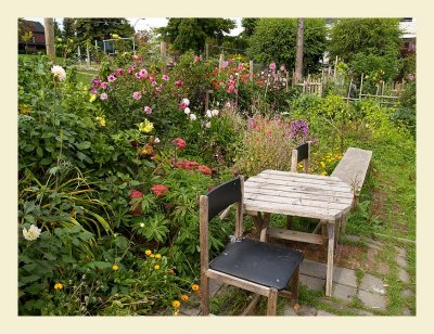 Garden7030.jpg