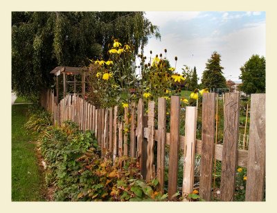 GardenFence7020.jpg