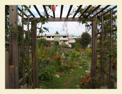 Trellis7026.jpg
