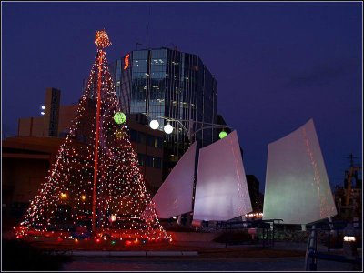 StJohnsWaterfrontTree&Sails2557.jpg