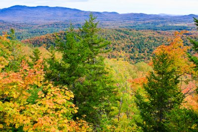 37  View From Panther Knob