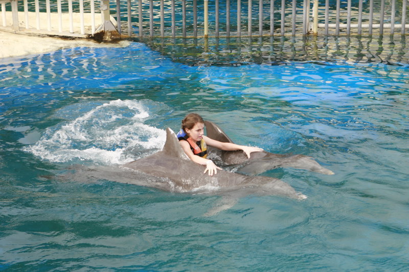 Oahu Sea Life Park_MG_0578.JPG