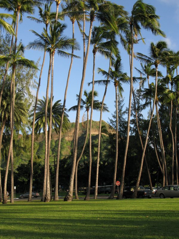 OahuDiamond Head IMG_1904.JPG