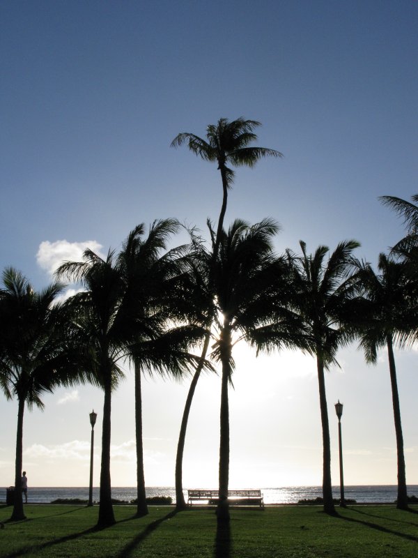 OahuHonolulu Waikiki BeachIMG_1903.JPG