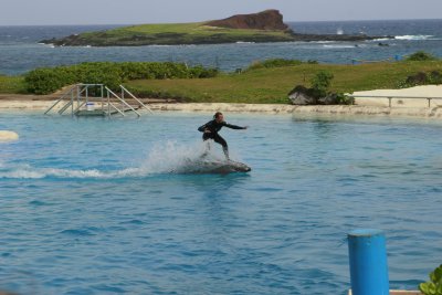 Oahu Sea Life Park_MG_0695.JPG