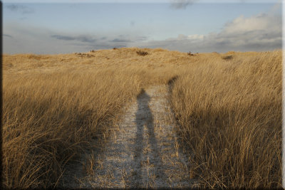 On the Trail - Long Beach, WA