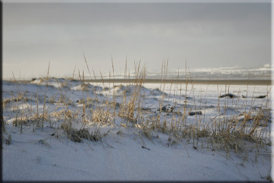 The Dunes - Long Beach, WA