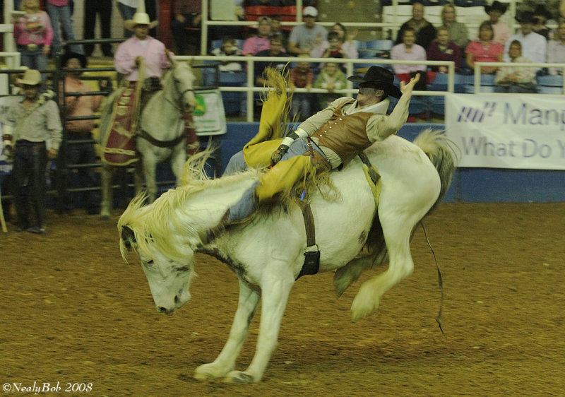 Bucking Bronc October 27