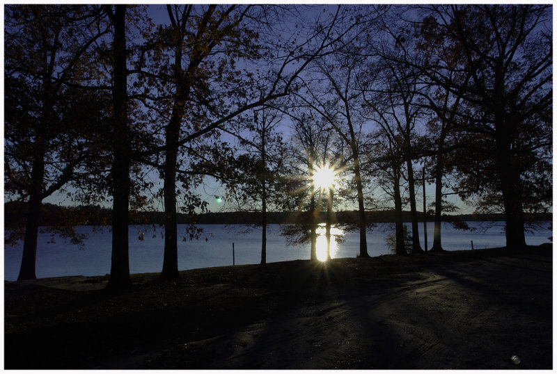 Through The Trees December 5