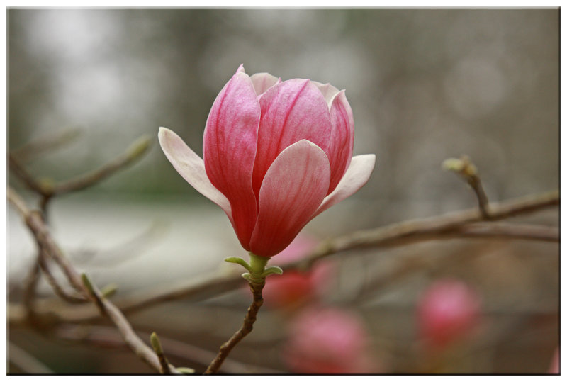 Spring Is On The Way February 17