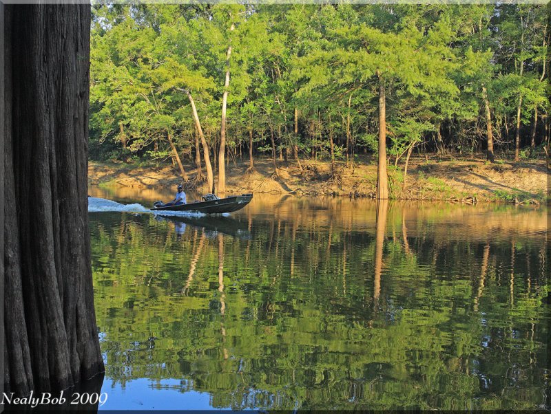 Cruising On The Bayou August 15