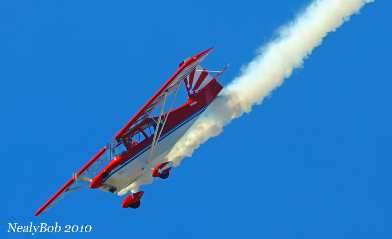 Champion Decathlon Stunt Plane