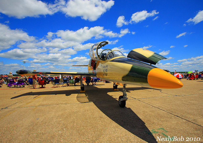 L-39 Albatros November 23