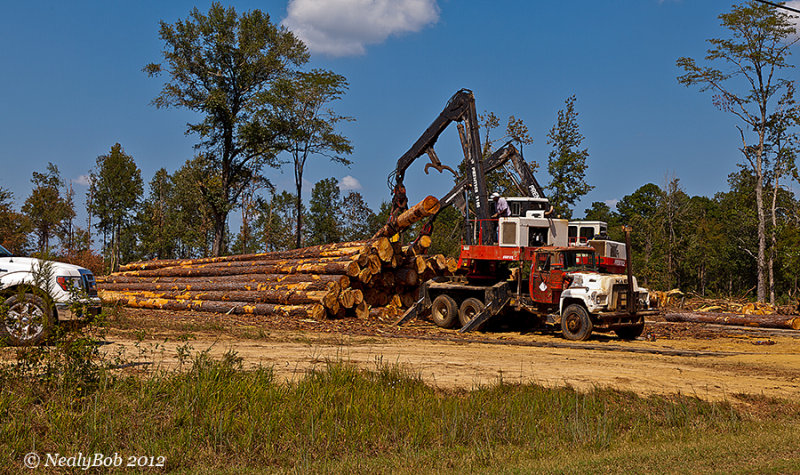 Loading Logs