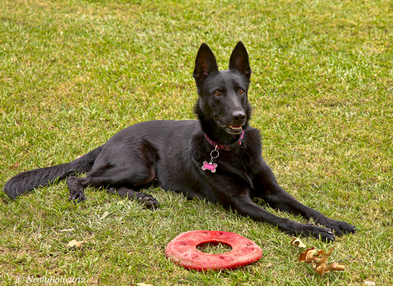 Bonnie October 8