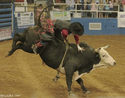 Bull Rider October 25