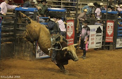 Bull Rider October 28