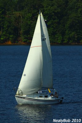 Sailing July 5