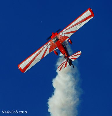 Champion Decathlon Stunt Plane