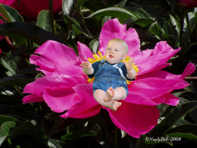 Flower Child February 24 *
