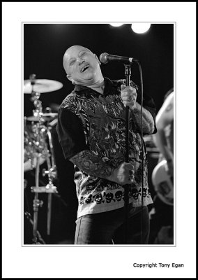 Angry Anderson