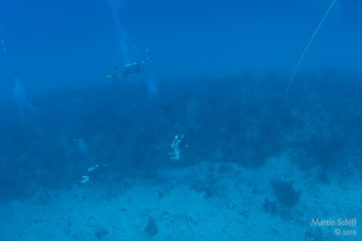 _MG_0157.jpg