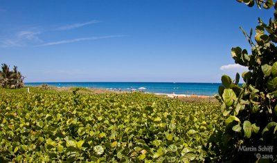 _MG_0273.jpg