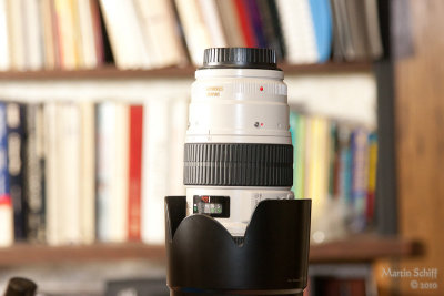 _MG_7687.jpg