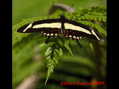 g1/52/634752/3/112043446.CmhIGRG4.jpg