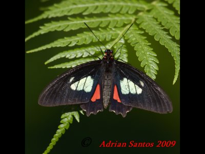 g1/52/634752/3/112043448.k6eLLa6o.jpg