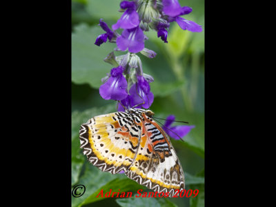g1/52/634752/3/112043451.dT5B6ubM.jpg