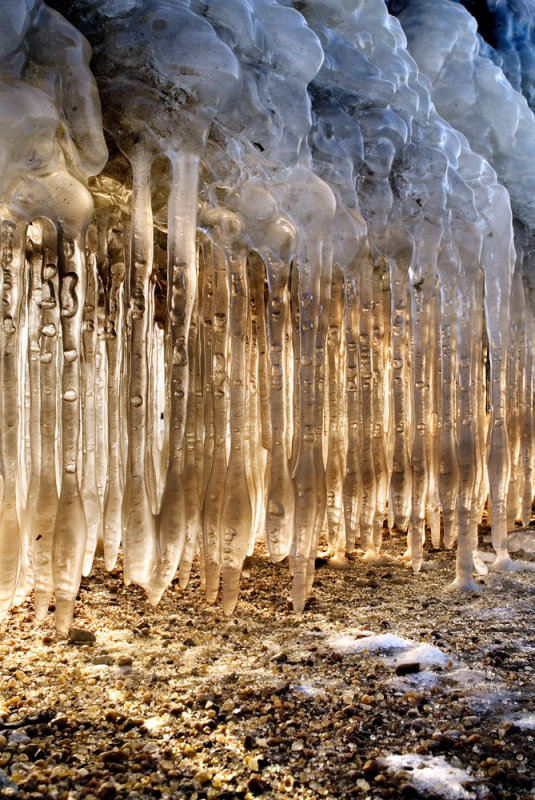 backlit icicles