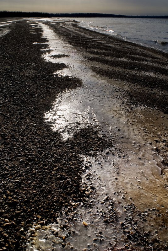 Mississippi river banks