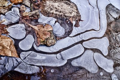 patterns of ice