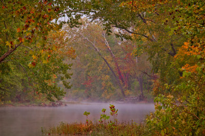 Fall Mist