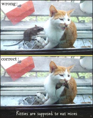 CatMouseD.jpg