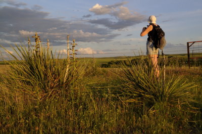 South Dakota Badlands