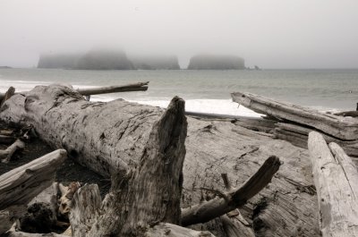 Mora Rialto Beach