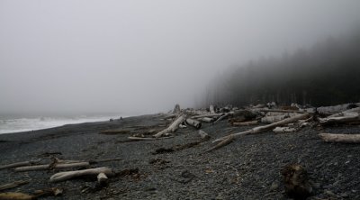 Mora Rialto Beach