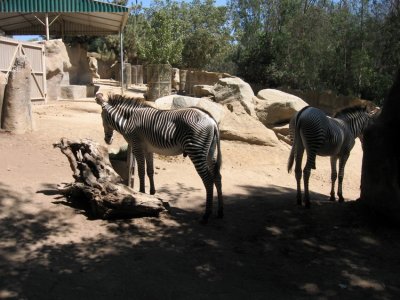 San Diego Zoo