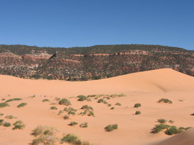 Coral Pink Sand Dunes Utah