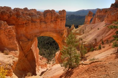 Bryce Canyon  Natural Bridge