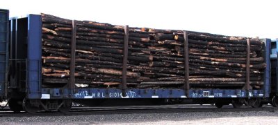 MRL 61014 - Livingston, MT (4/10/08)